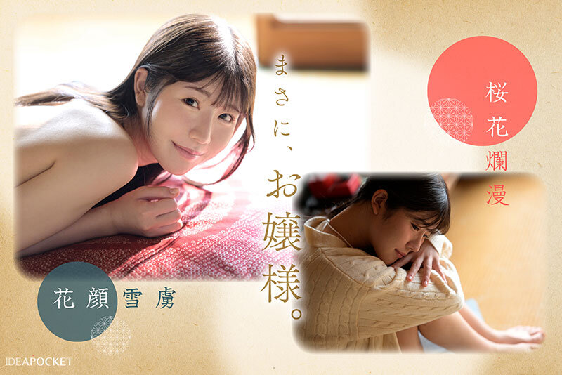 IPZZ-731 大和抚子般的治愈女神「坂井美樱」2025/11/10出道作